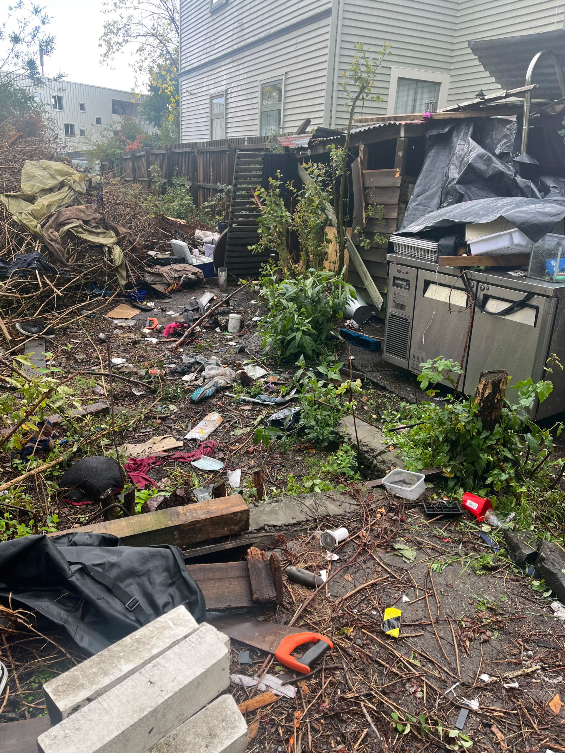 Before - Property Cleanup Needed