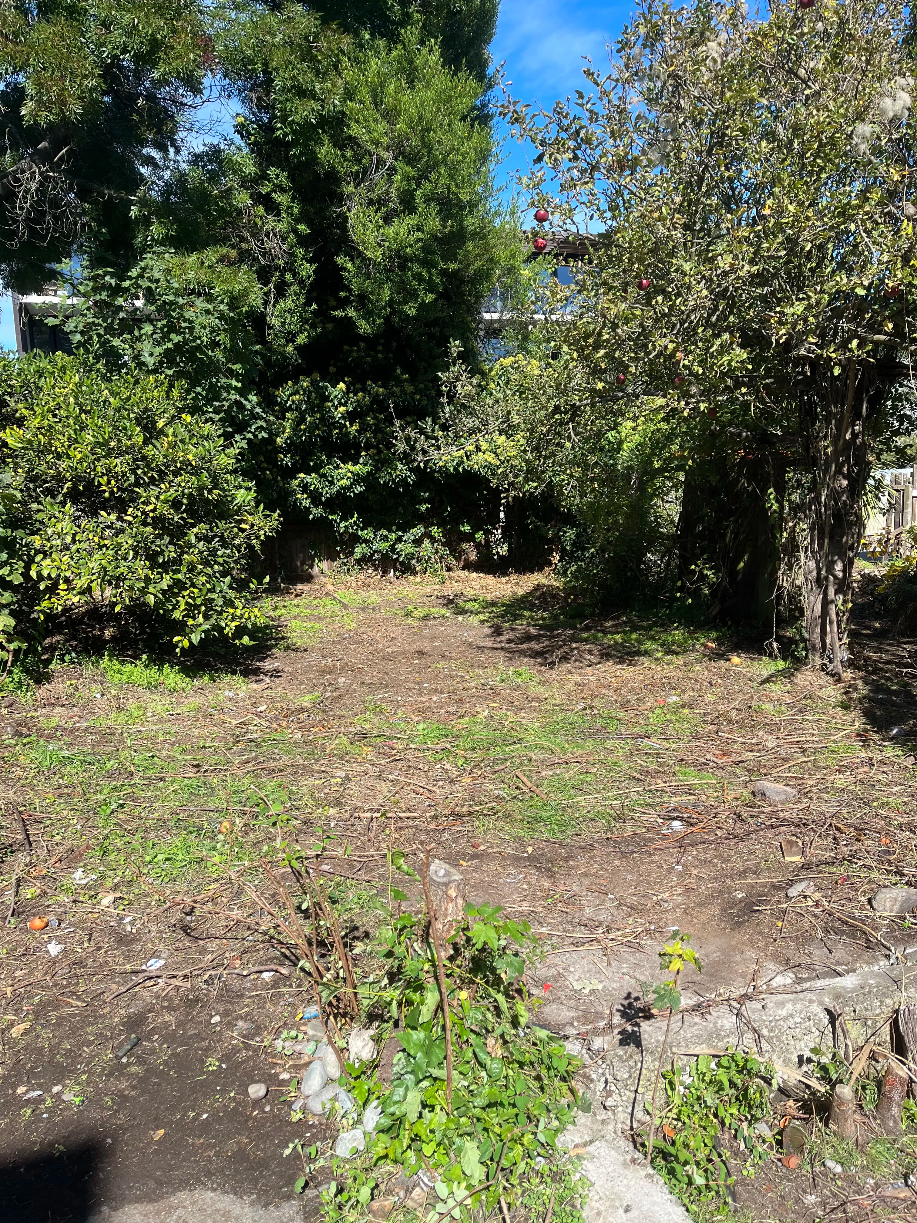 After professional junk removal in Christchurch - clean, organized outdoor space